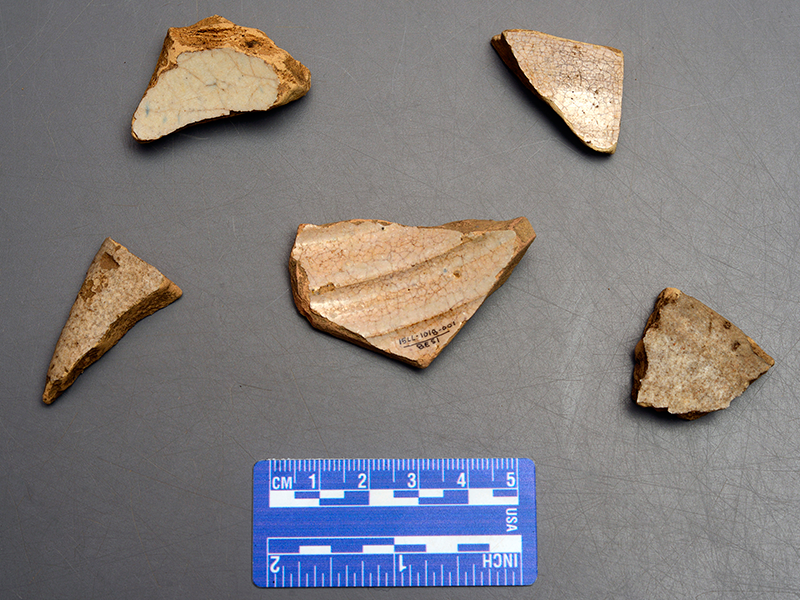 Columbia Plain Majolica with scale