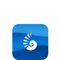 Shell graphic on wave background