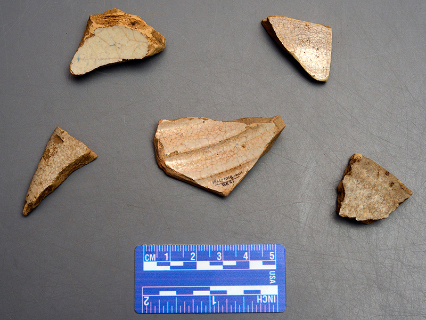 Columbia Plain Majolica with scale