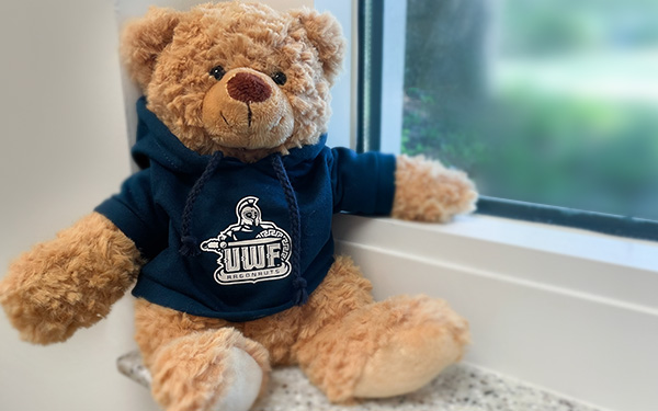 UWF Teddy on a windowsill