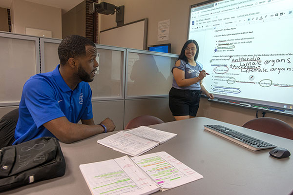 Two students using a digital smartboard during a study session in a library.